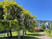 Immobilienmakler Neuss Immobilienmakler Neuss