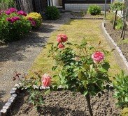 Immobilienmakler Neuss Immobilienmakler Neuss